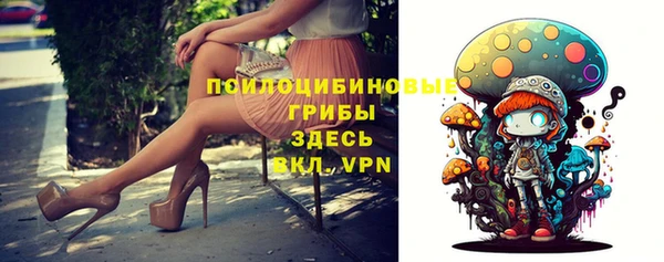 ПСИЛОЦИБИНОВЫЕ ГРИБЫ Алексин