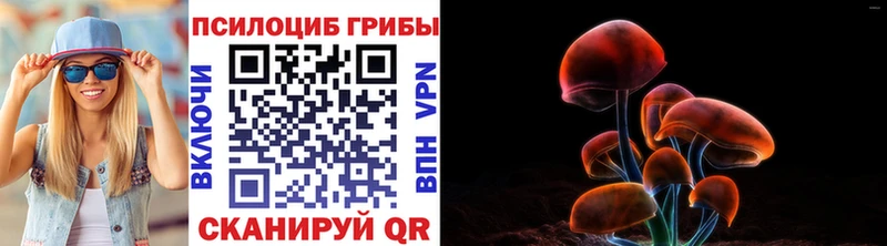 Псилоцибиновые грибы GOLDEN TEACHER Новокубанск